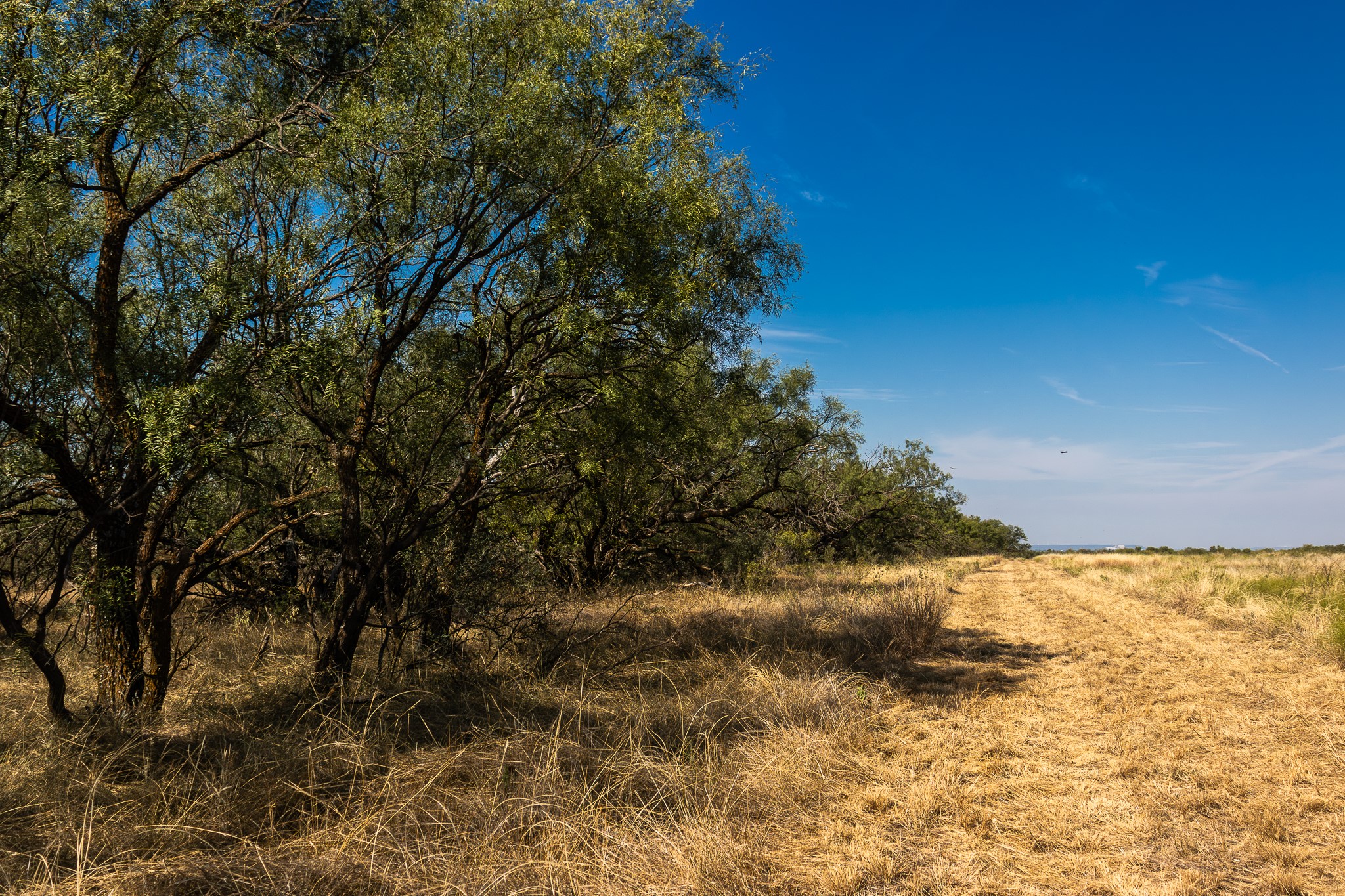 Tbd County Road 242 Clyde TX 79510