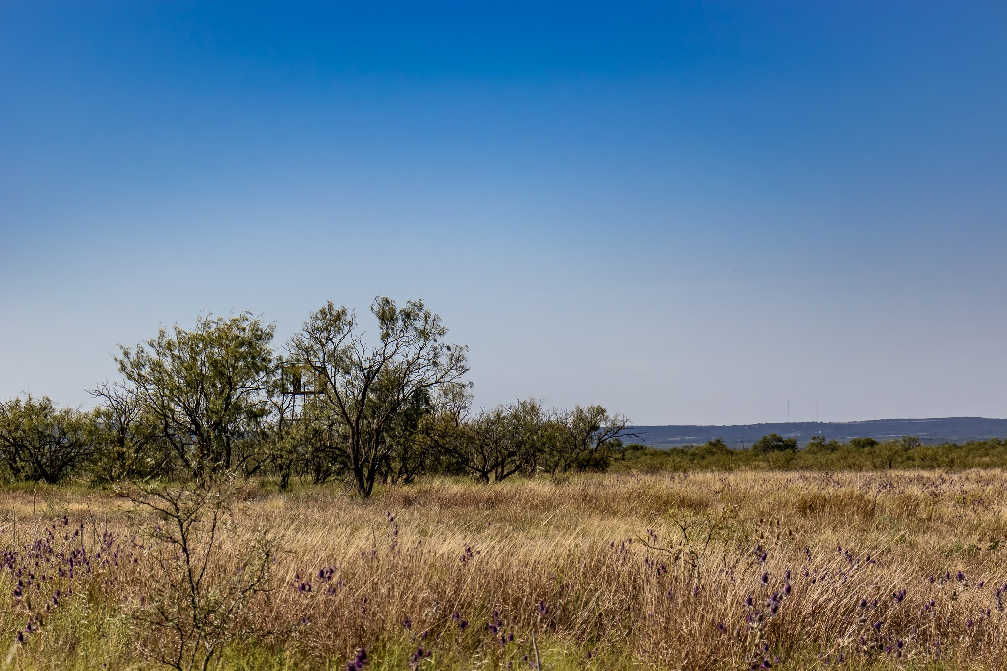 Tbd County Road 242 Clyde TX 79510