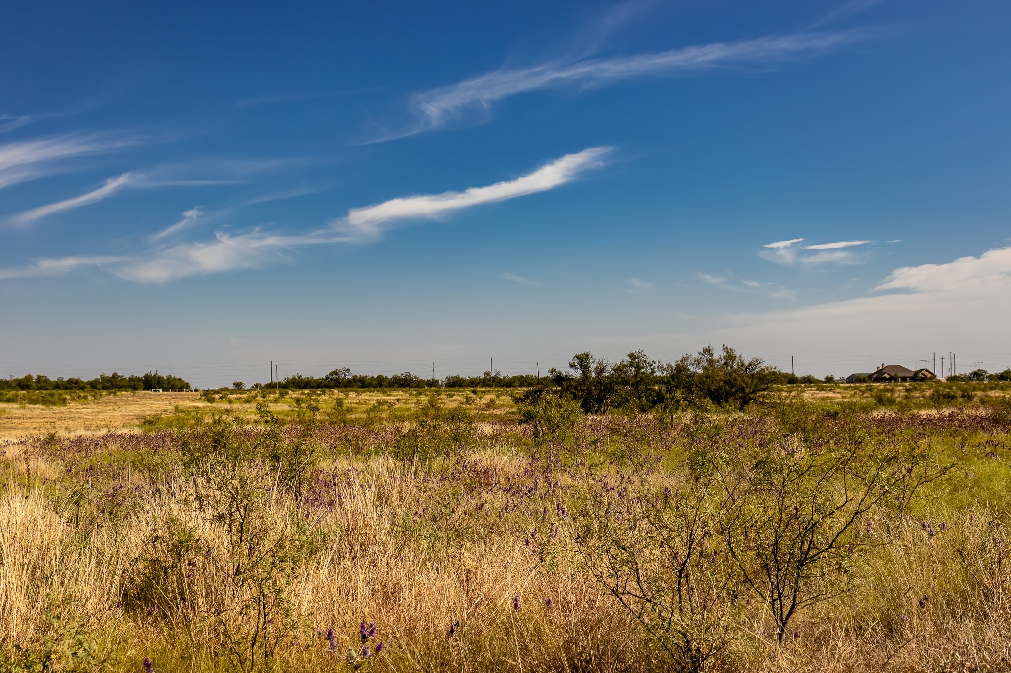Tbd County Road 242 Clyde TX 79510