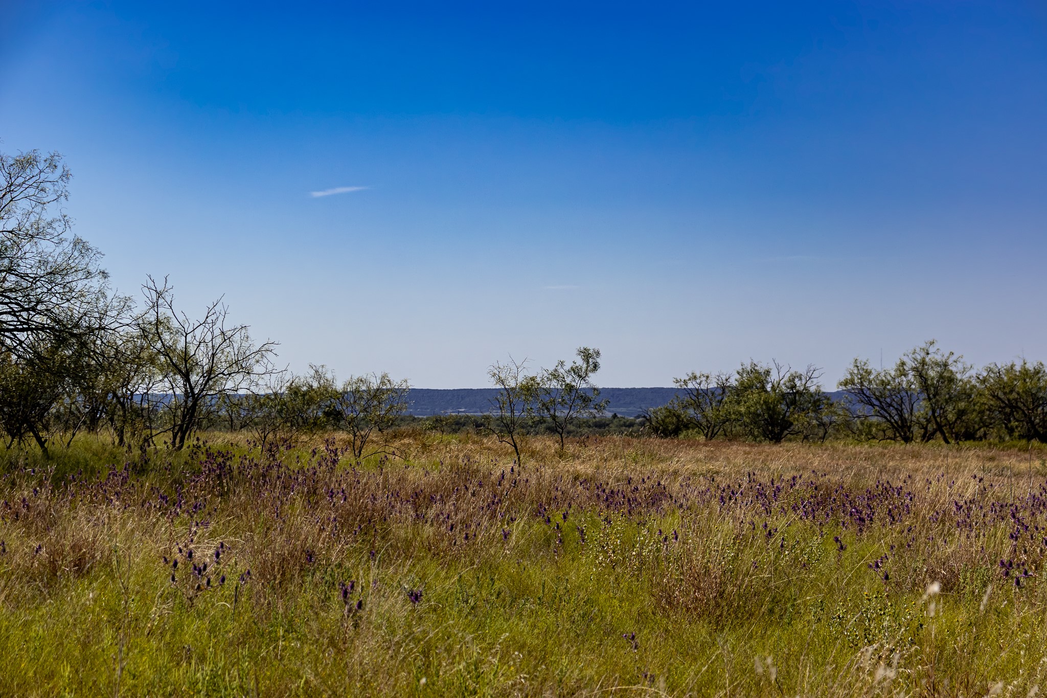 Tbd County Road 242 Clyde TX 79510