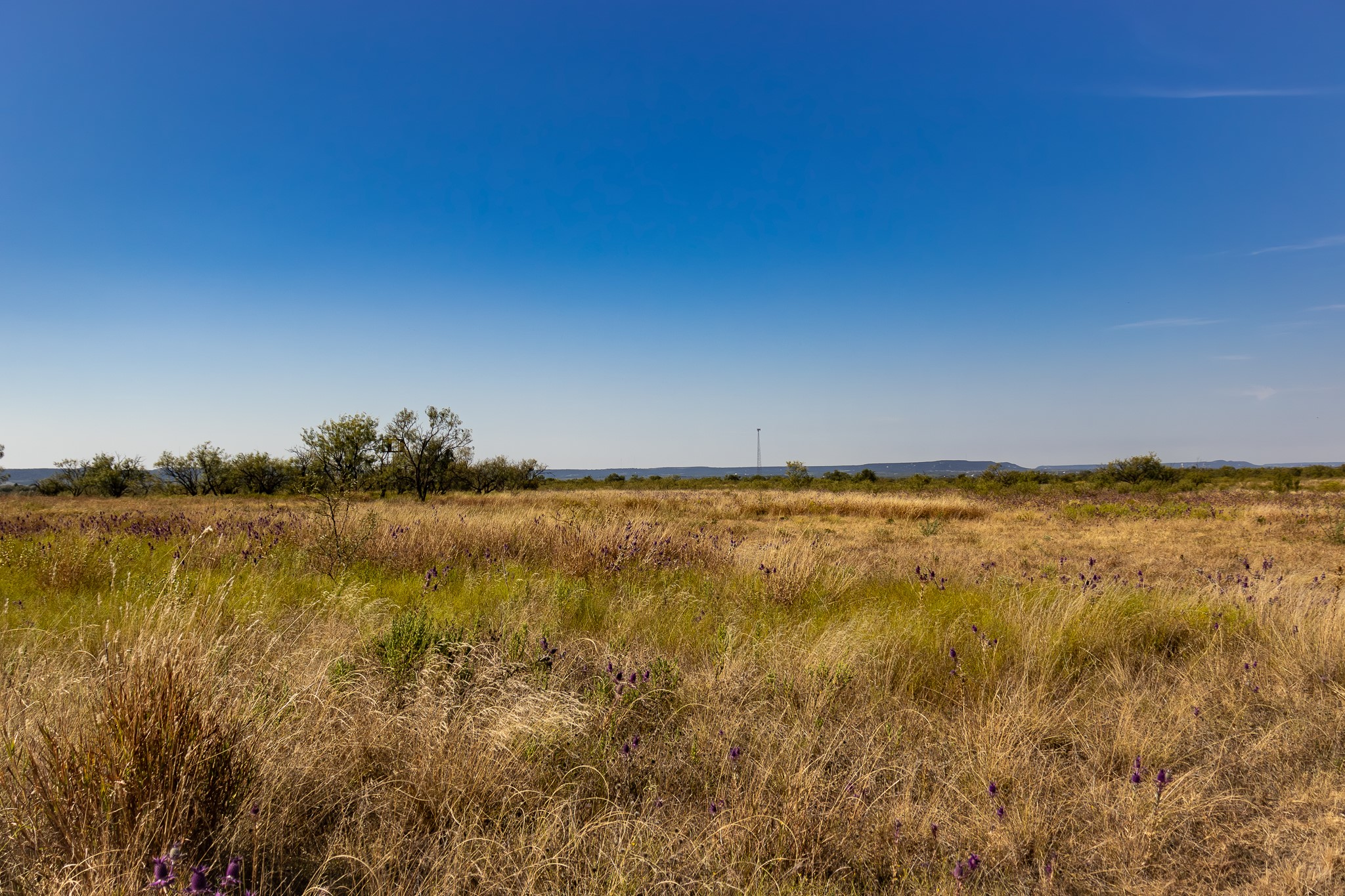 Tbd County Road 242 Clyde TX 79510
