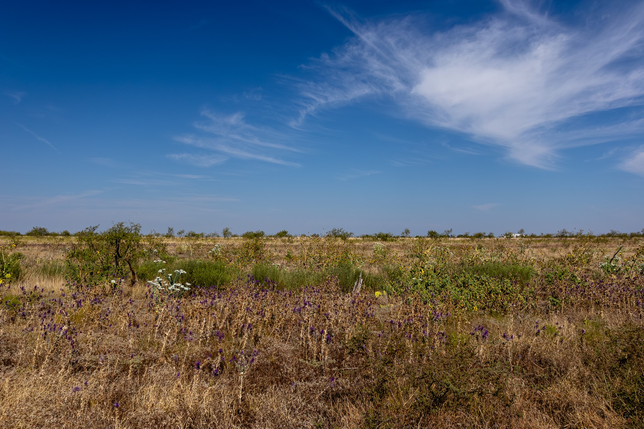 Tbd County Road 242 Clyde TX 79510