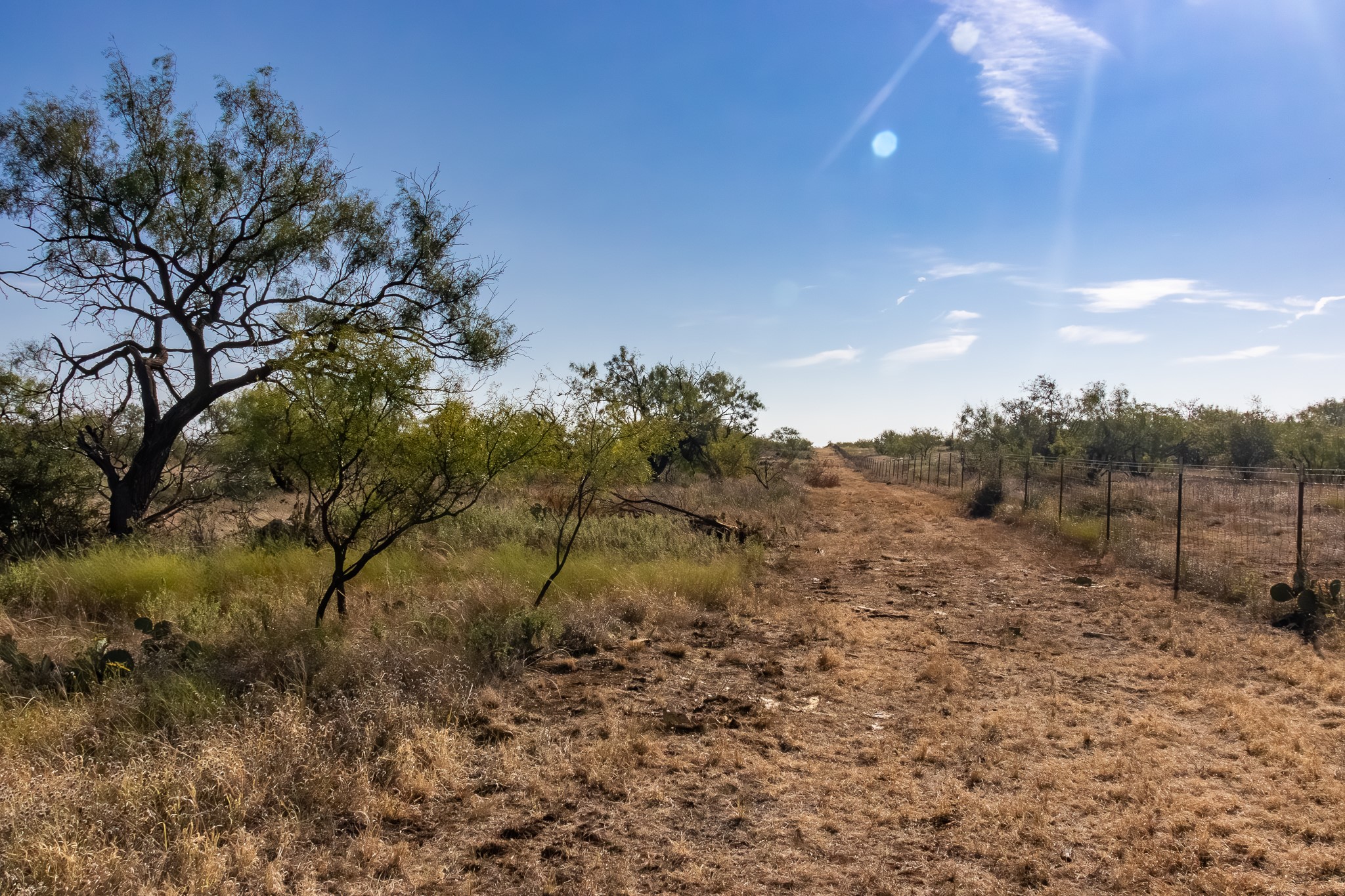 Tbd County Road 242 Clyde TX 79510
