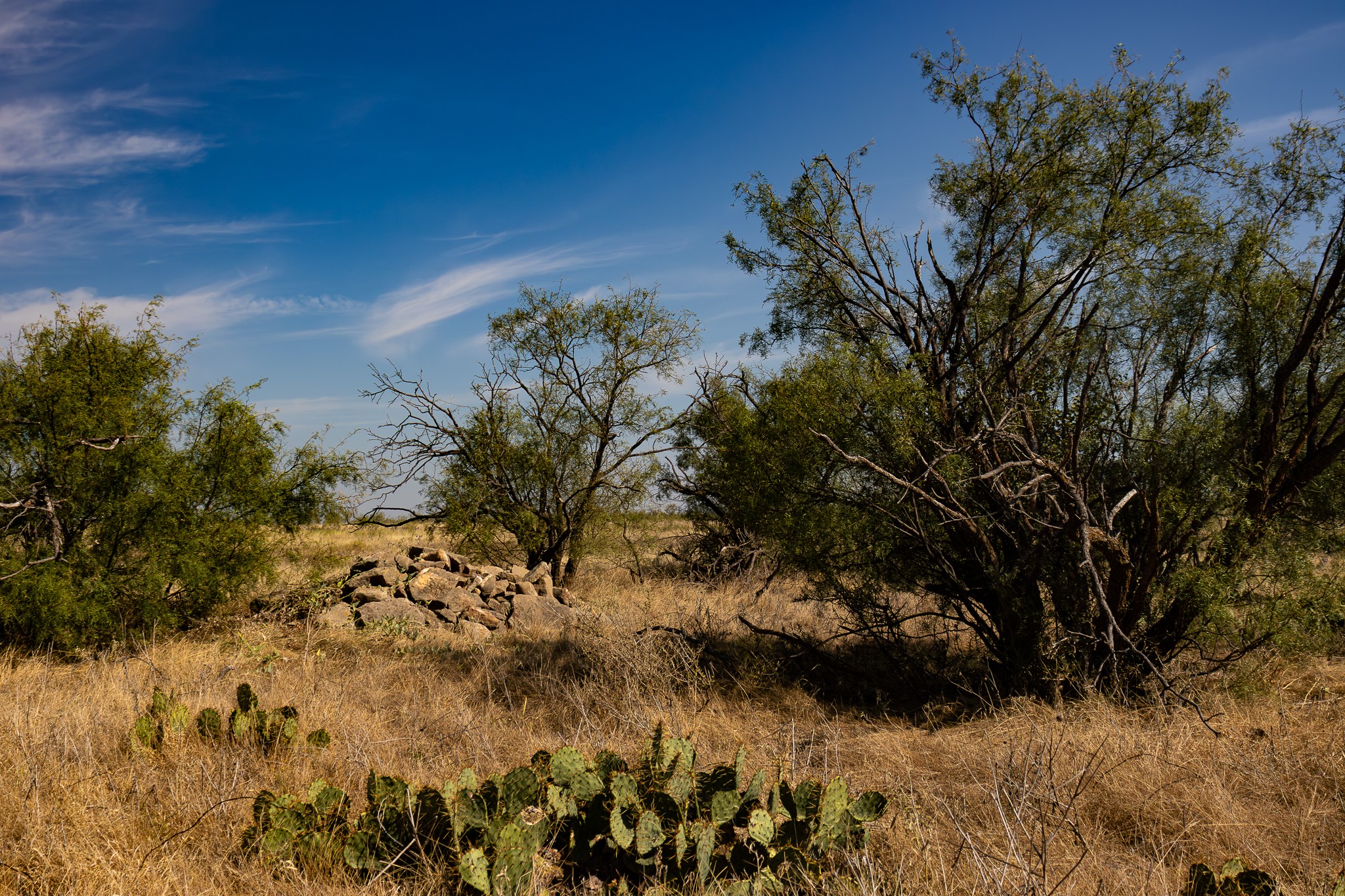 Tbd County Road 242 Clyde TX 79510