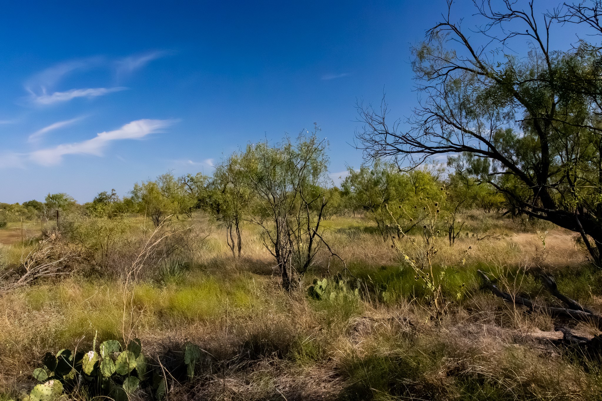 Tbd County Road 242 Clyde TX 79510
