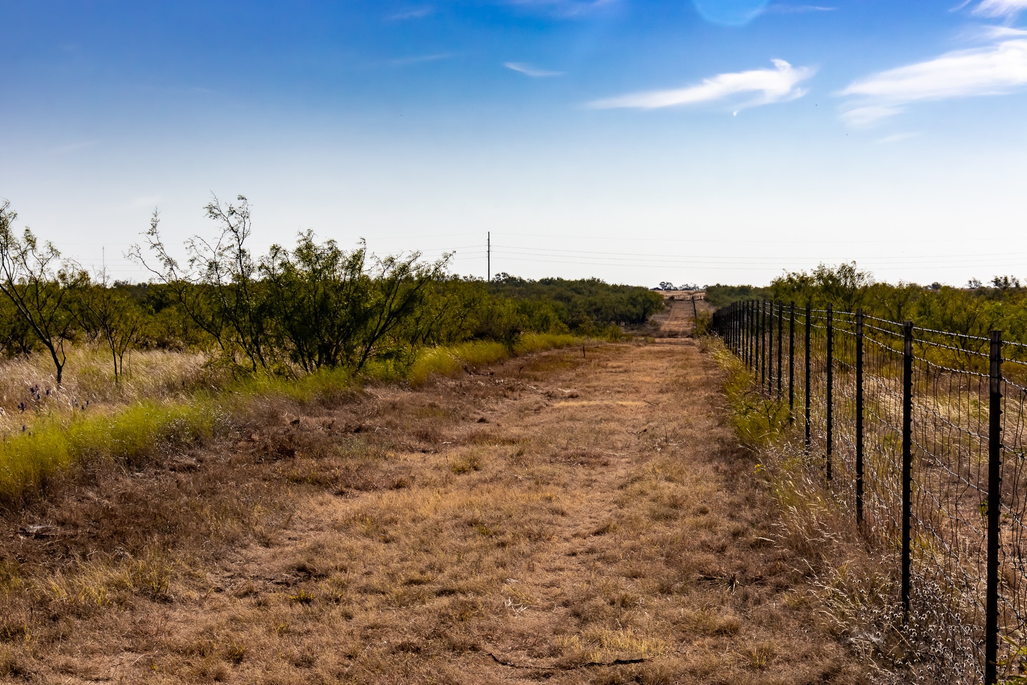 Tbd County Road 242 Clyde TX 79510