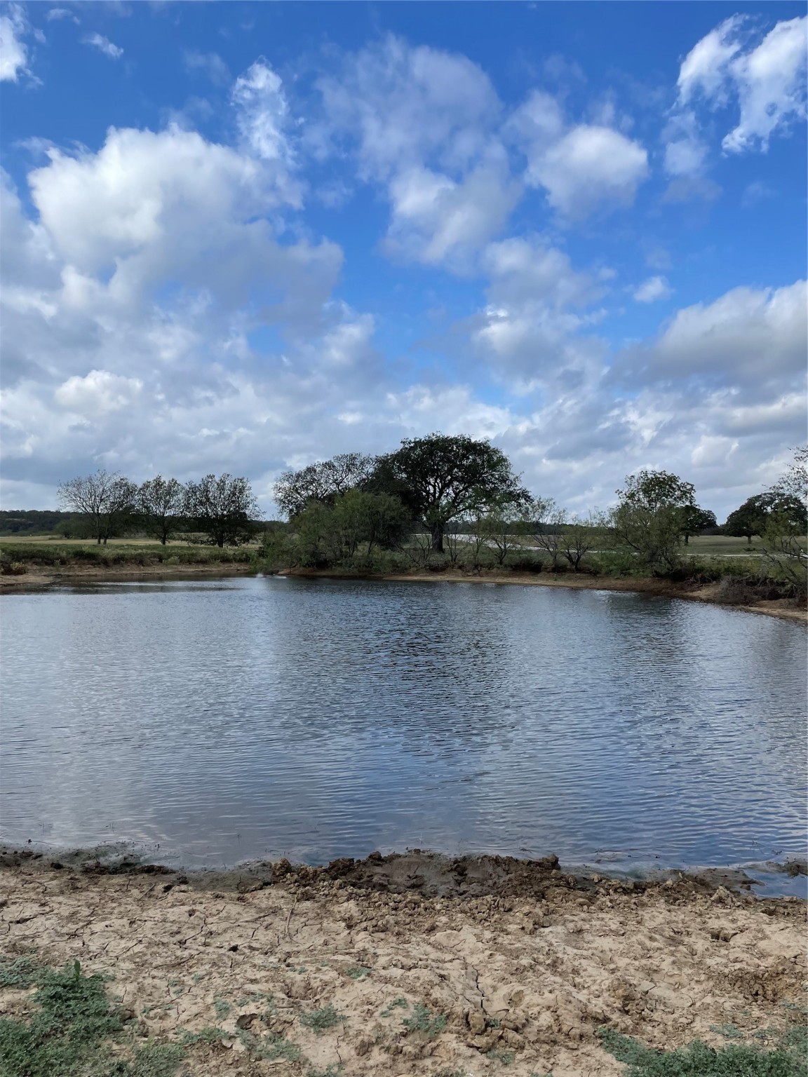 Lot 62 Buffalo Lane Chico TX 76431