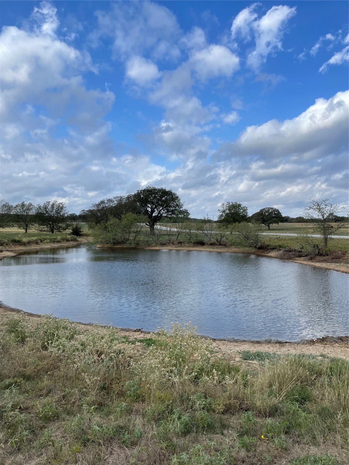 Lot 62 Buffalo Lane Chico TX 76431
