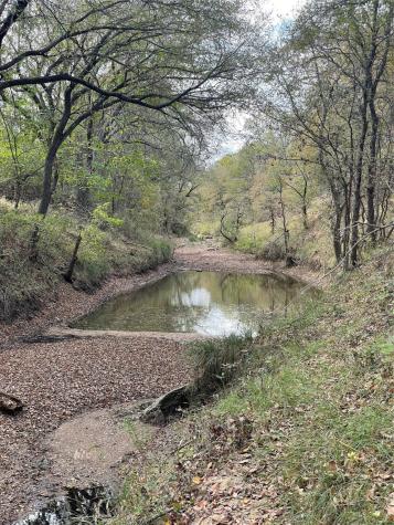 Lot 62 Buffalo Lane Chico TX 76431