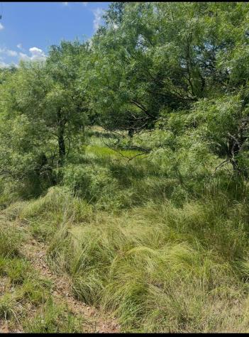 Lot 913 Oak Point Drive May TX 76857