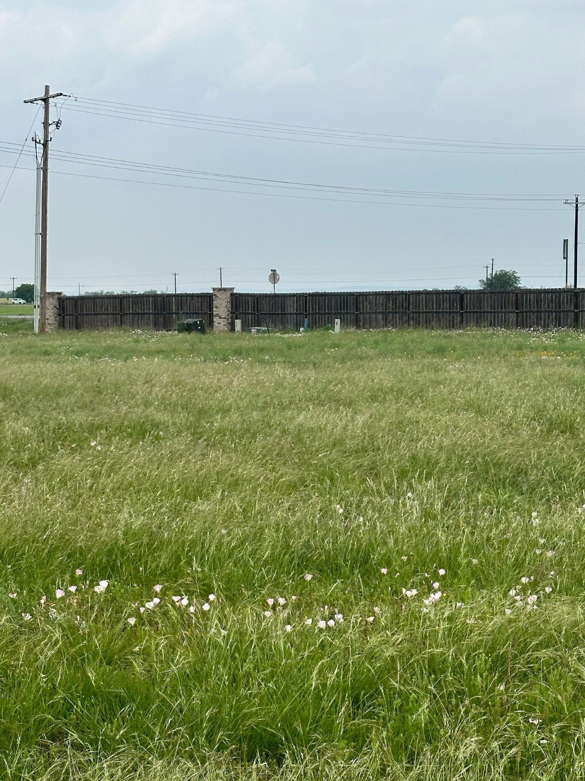 142 Ashley Drive Tuscola TX 79562