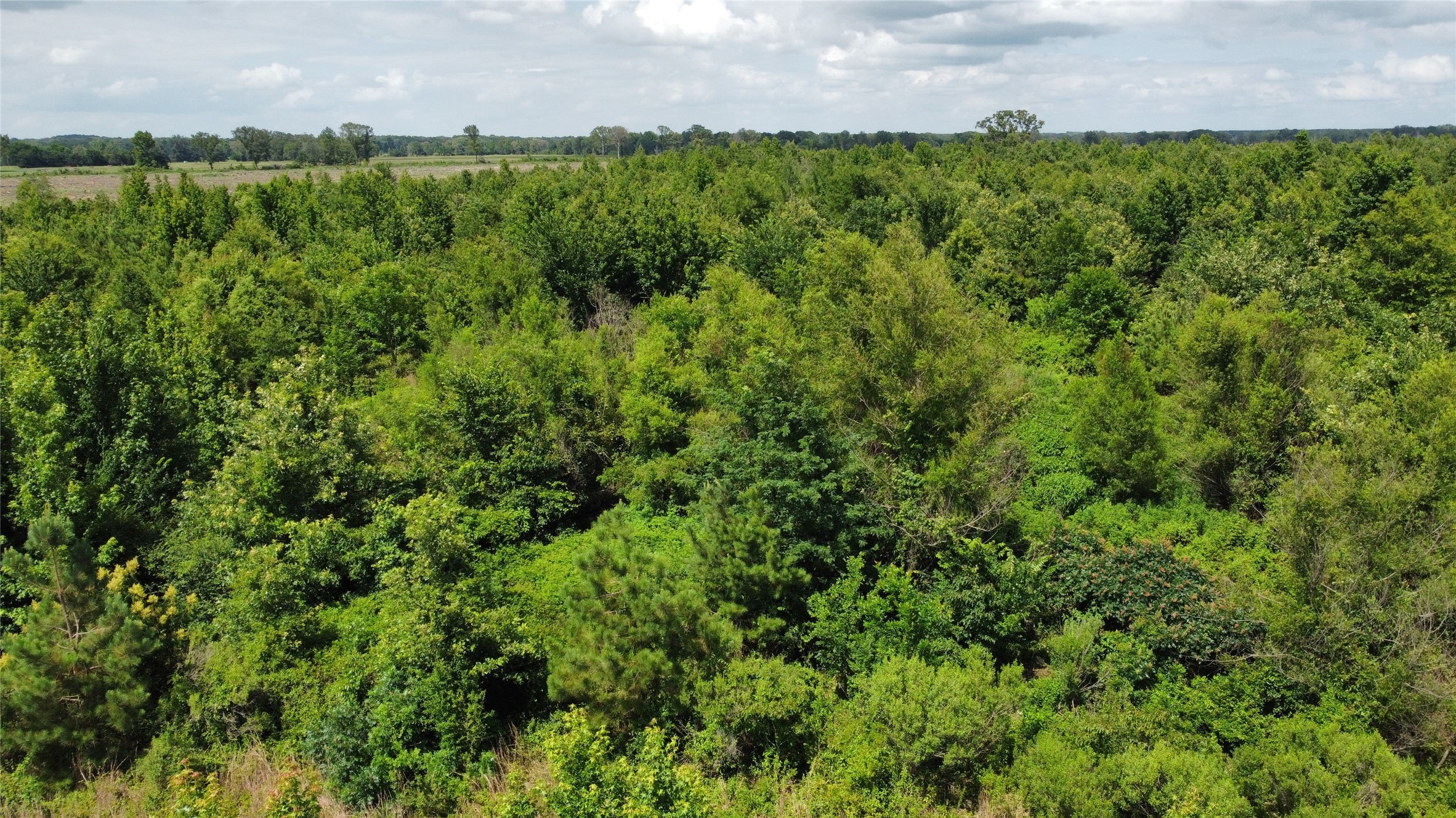 Lot 1 County Road 4507 De Kalb TX 75559