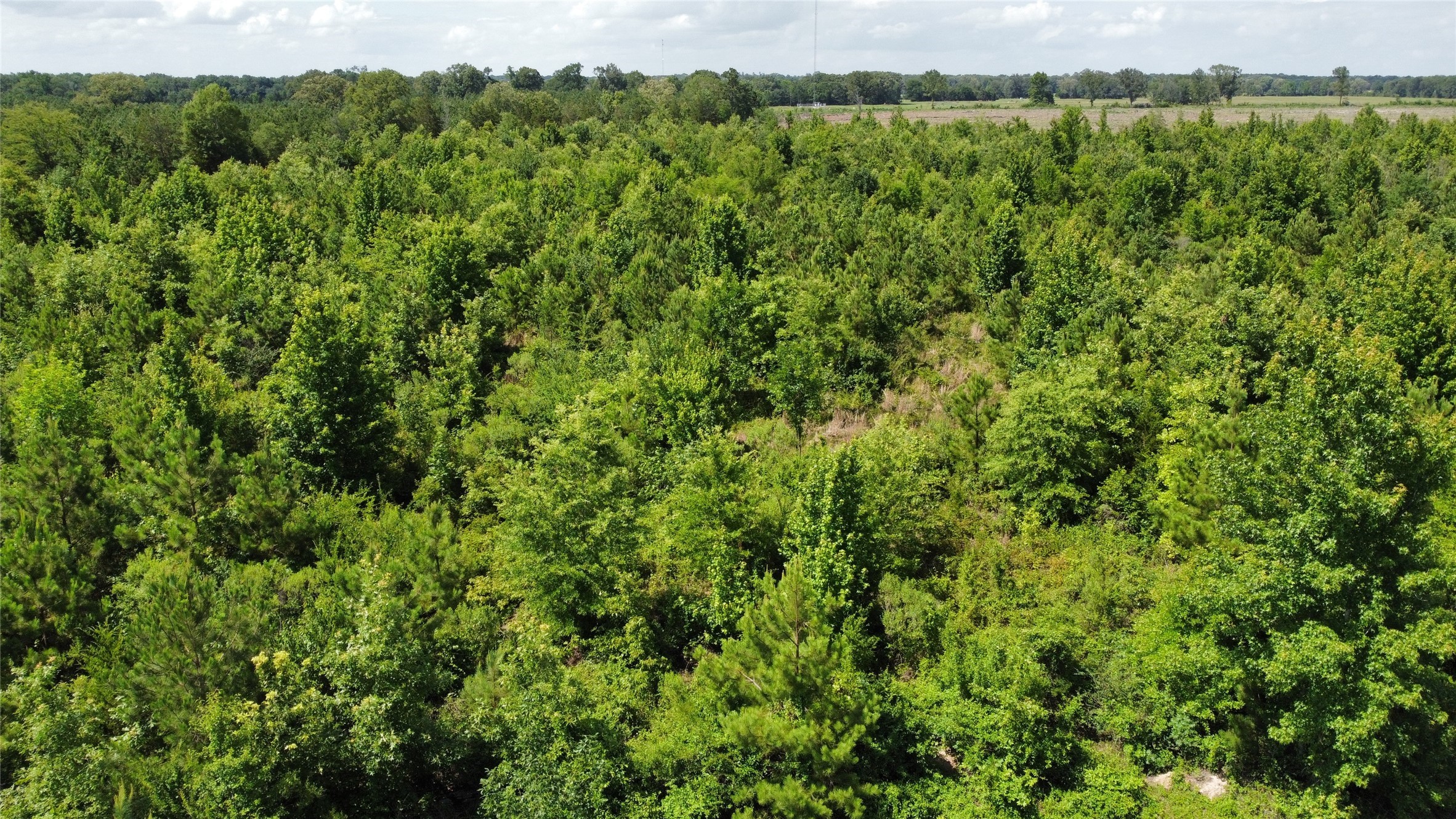 Lot 1 County Road 4507 De Kalb TX 75559