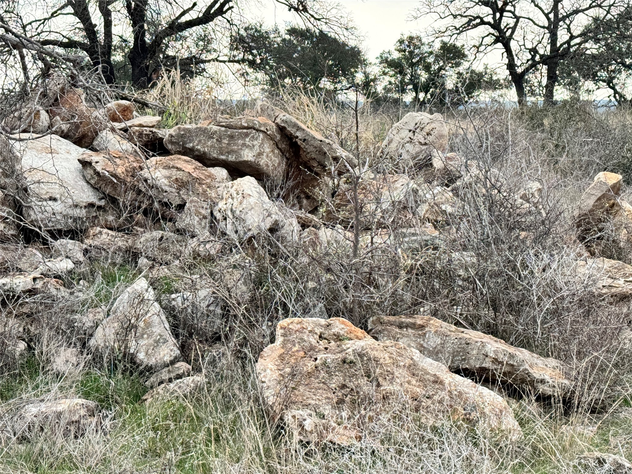 Tbd Lot 355 Feather Bay Drive Brownwood TX 76801