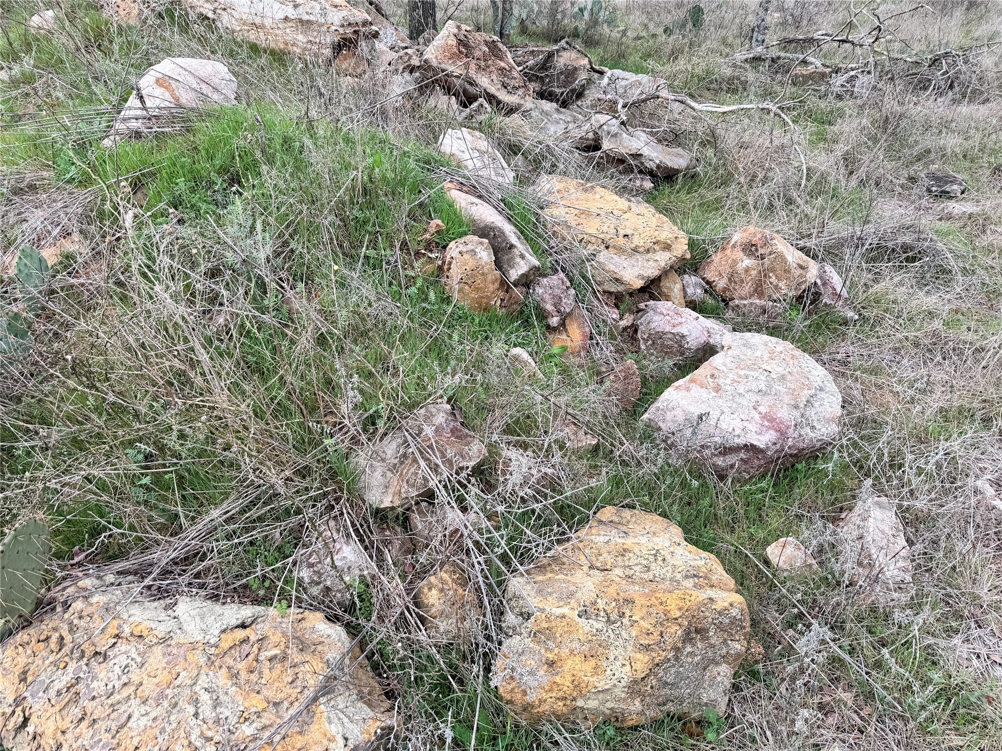 Tbd Lot 355 Feather Bay Drive Brownwood TX 76801