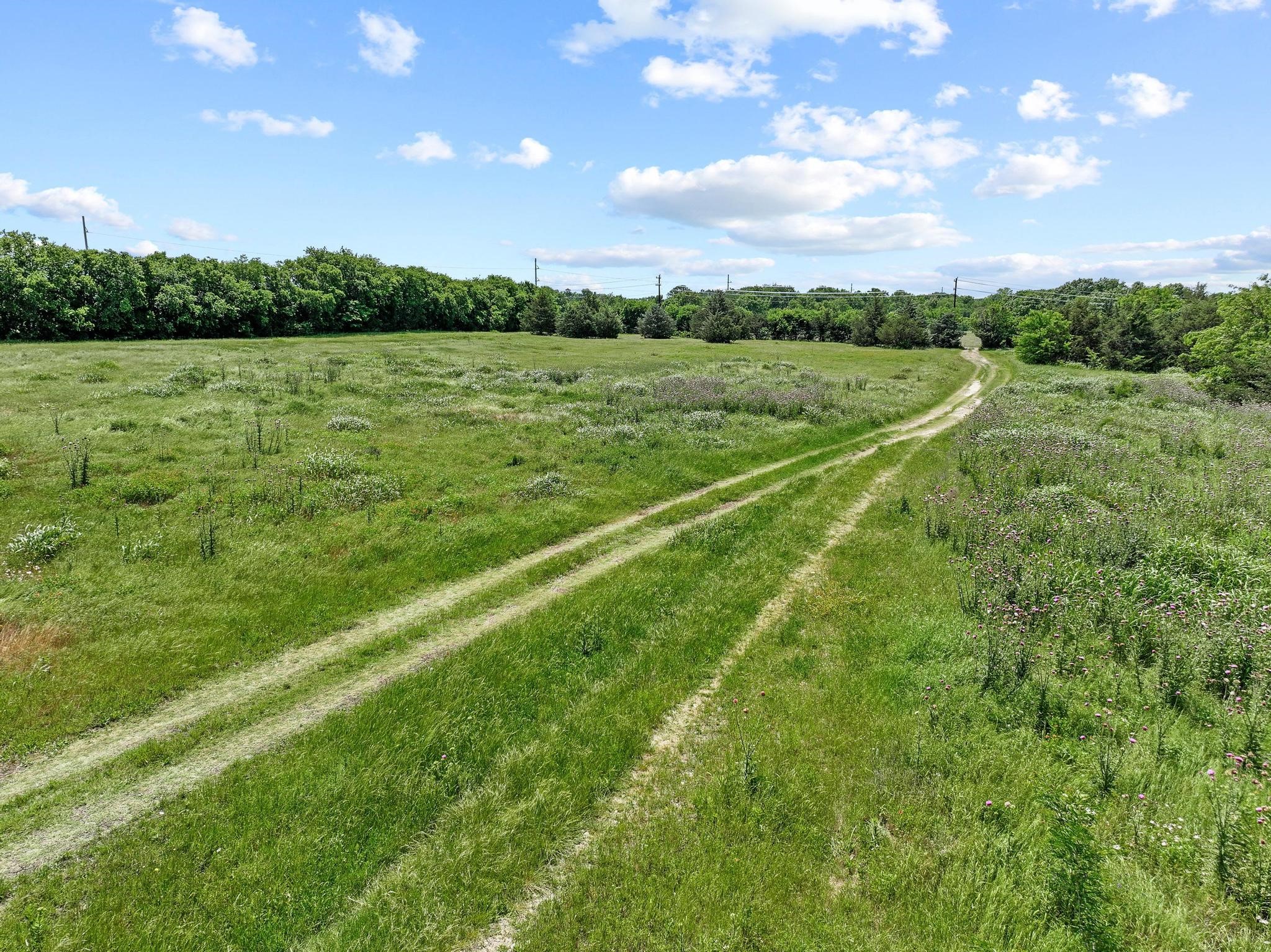 747 Vineyard Road Gunter TX 75058