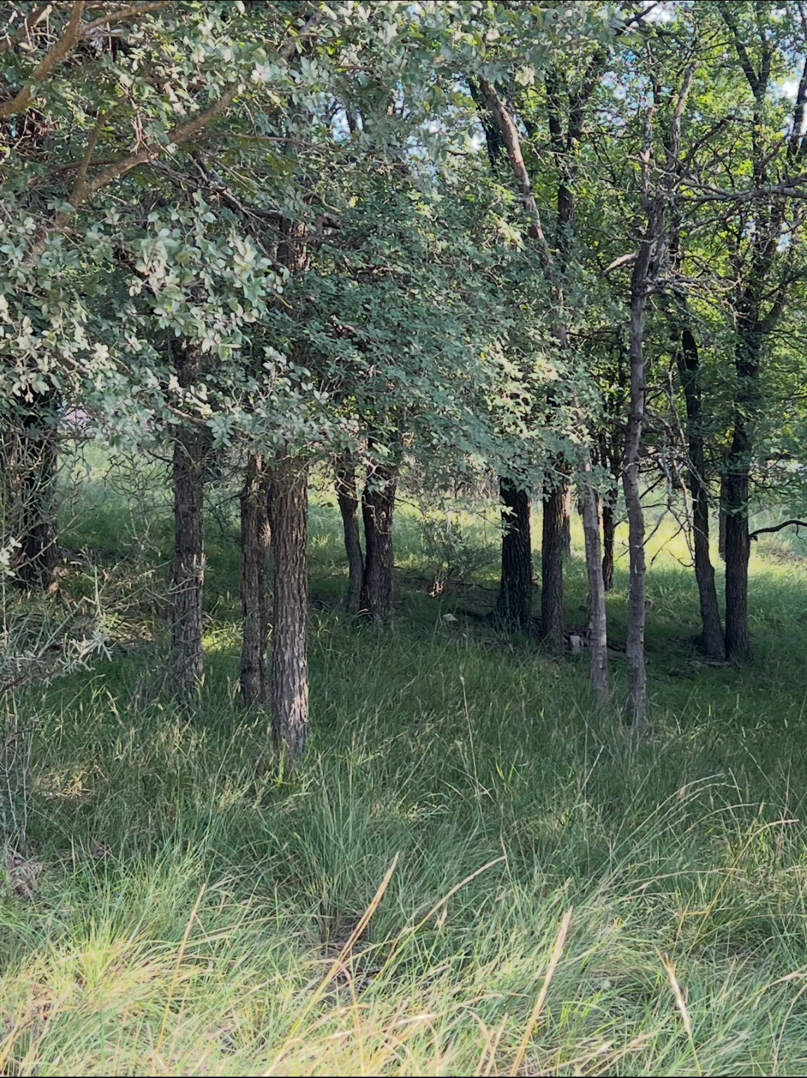 Lot 943 S Lakes Drive May TX 76857
