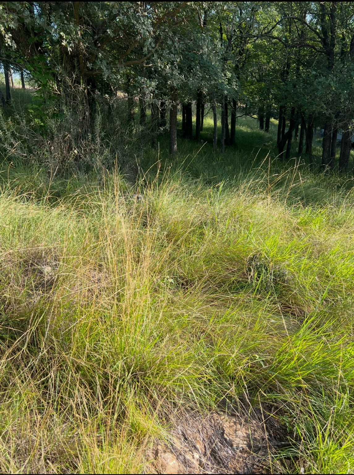 Lot 943 S Lakes Drive May TX 76857
