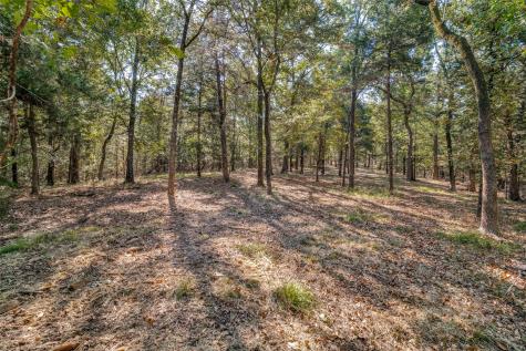 16020 SE County Road 2359b Streetman TX 75859