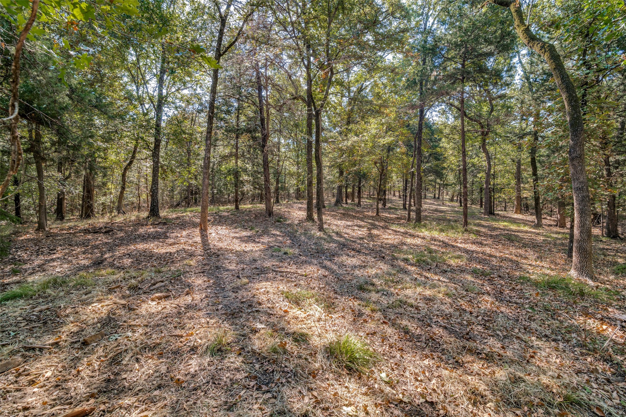 16020 SE County Road 2359b Streetman TX 75859