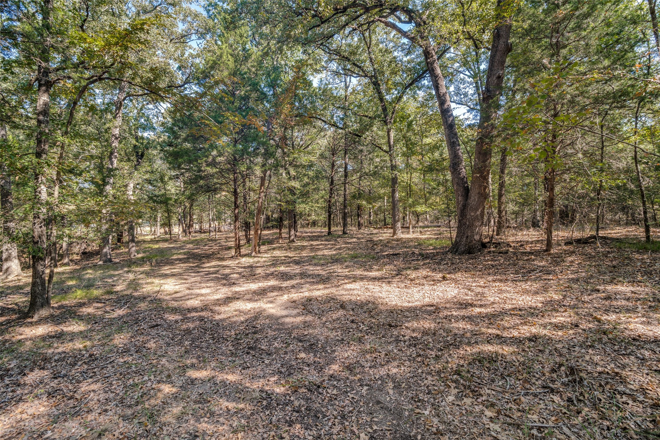 16020 SE County Road 2359b Streetman TX 75859