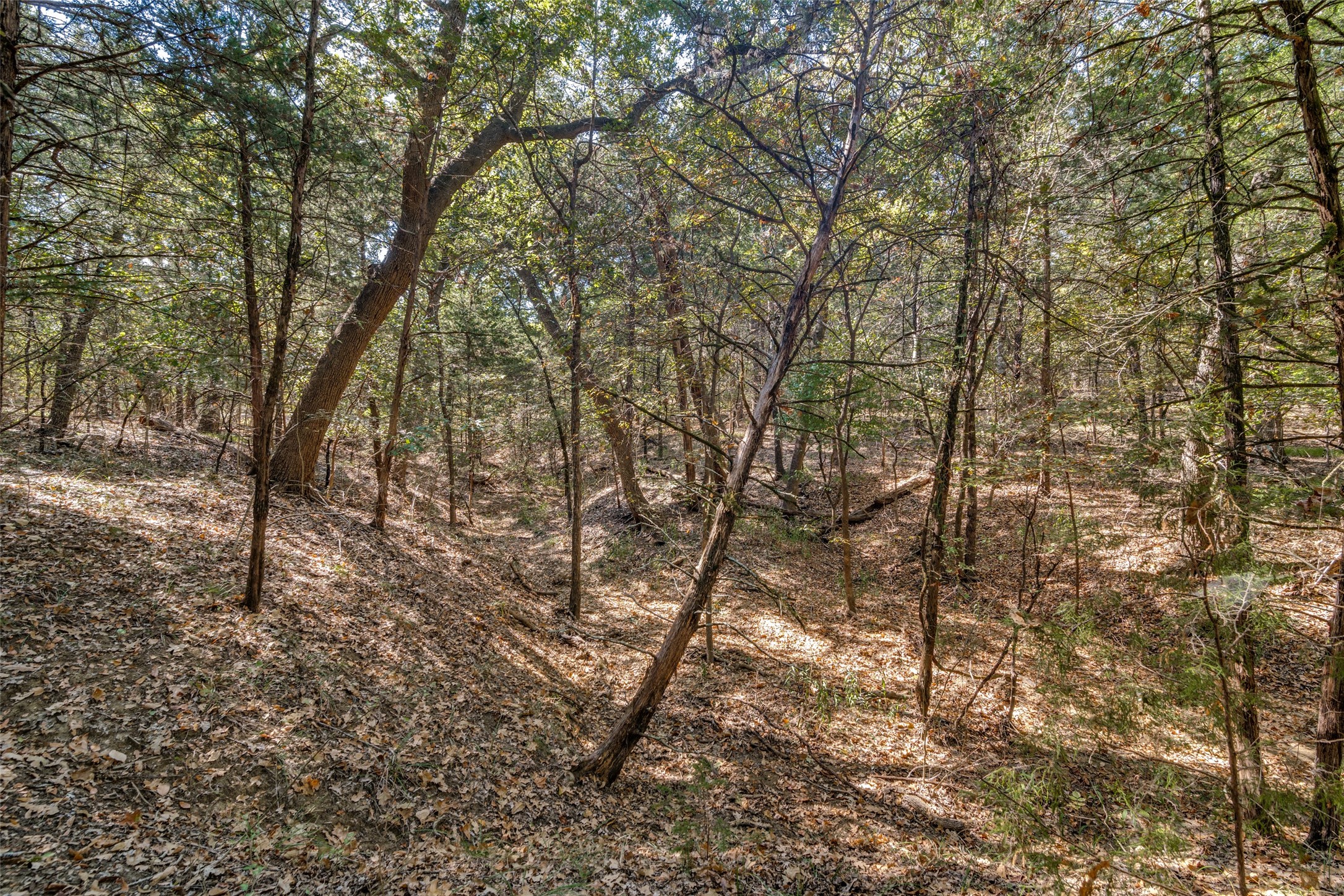 16020 SE County Road 2359b Streetman TX 75859