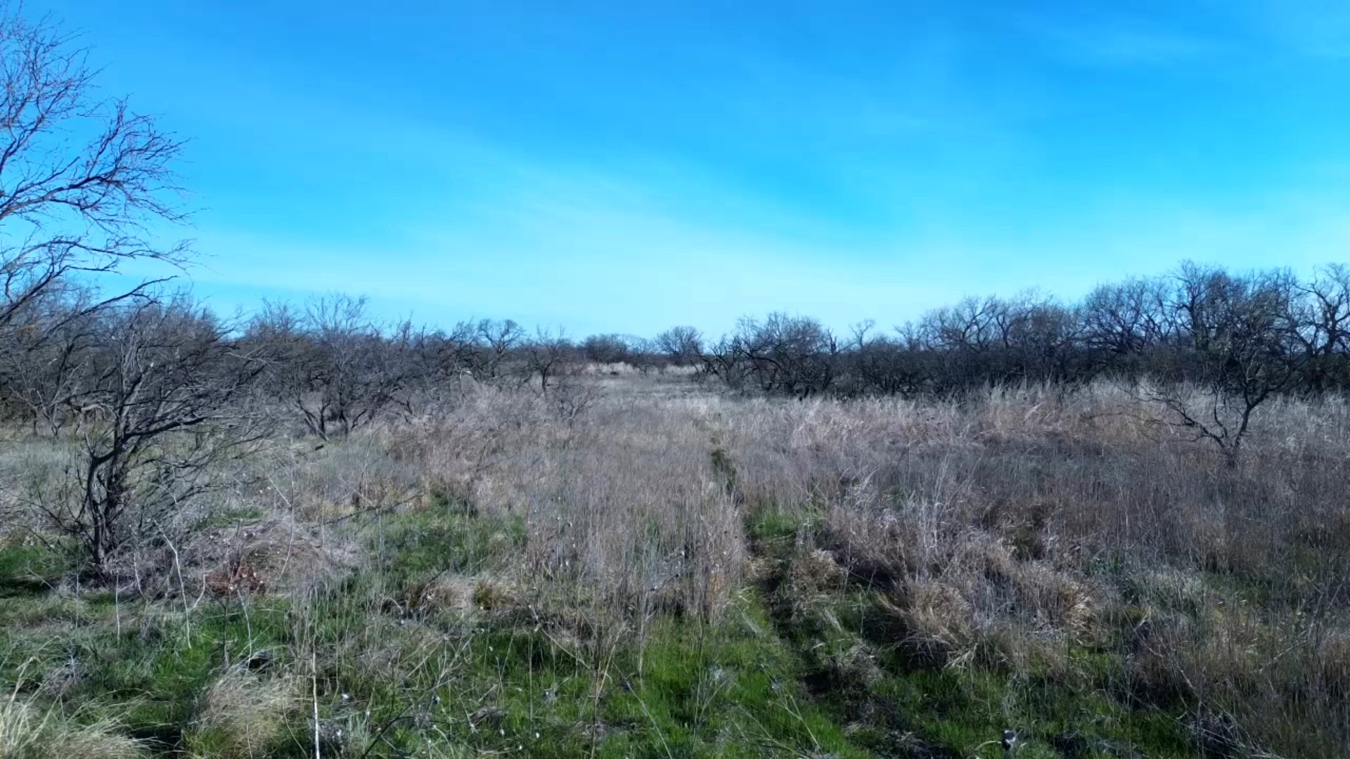 0 Knox County Road Archer City TX 76351