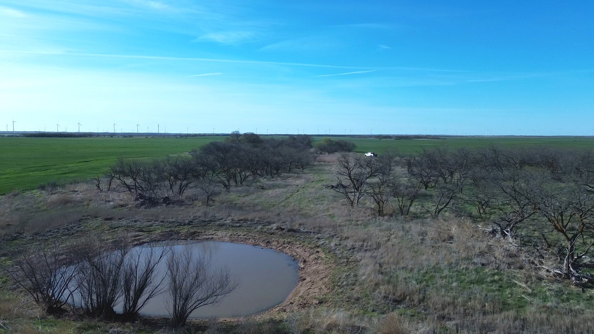 0 Knox County Road Archer City TX 76351