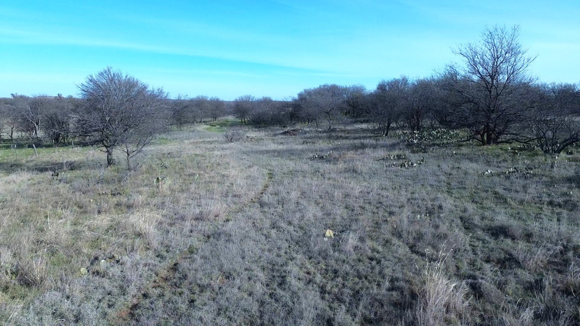 0 Knox County Road Archer City TX 76351