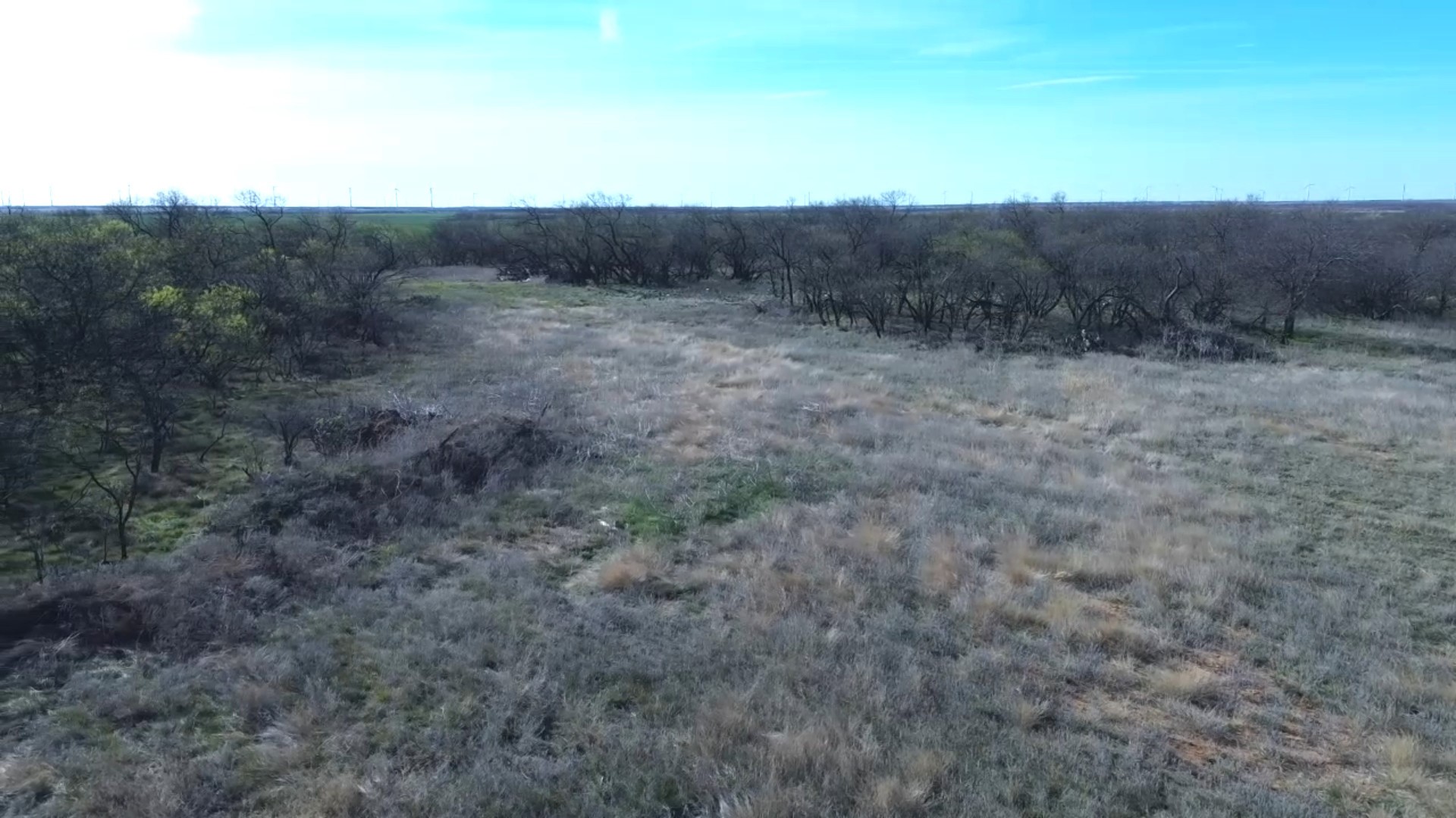 0 Knox County Road Archer City TX 76351