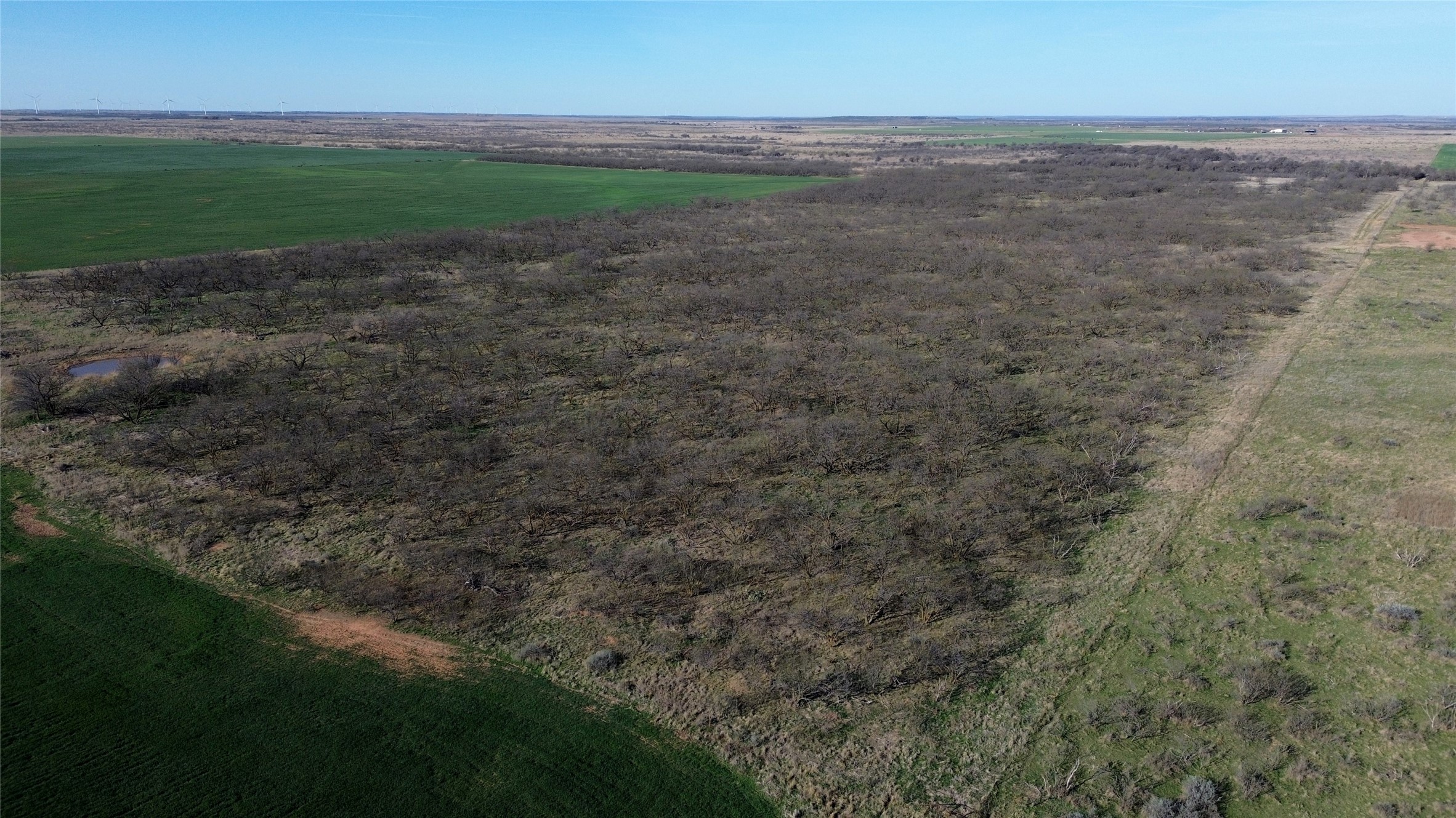 0 Knox County Road Archer City TX 76351