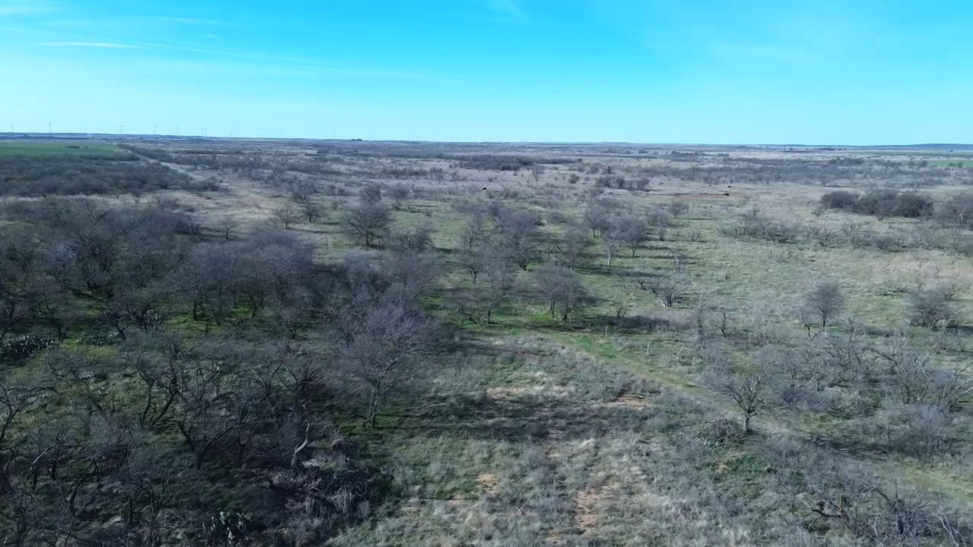0 Knox County Road Archer City TX 76351