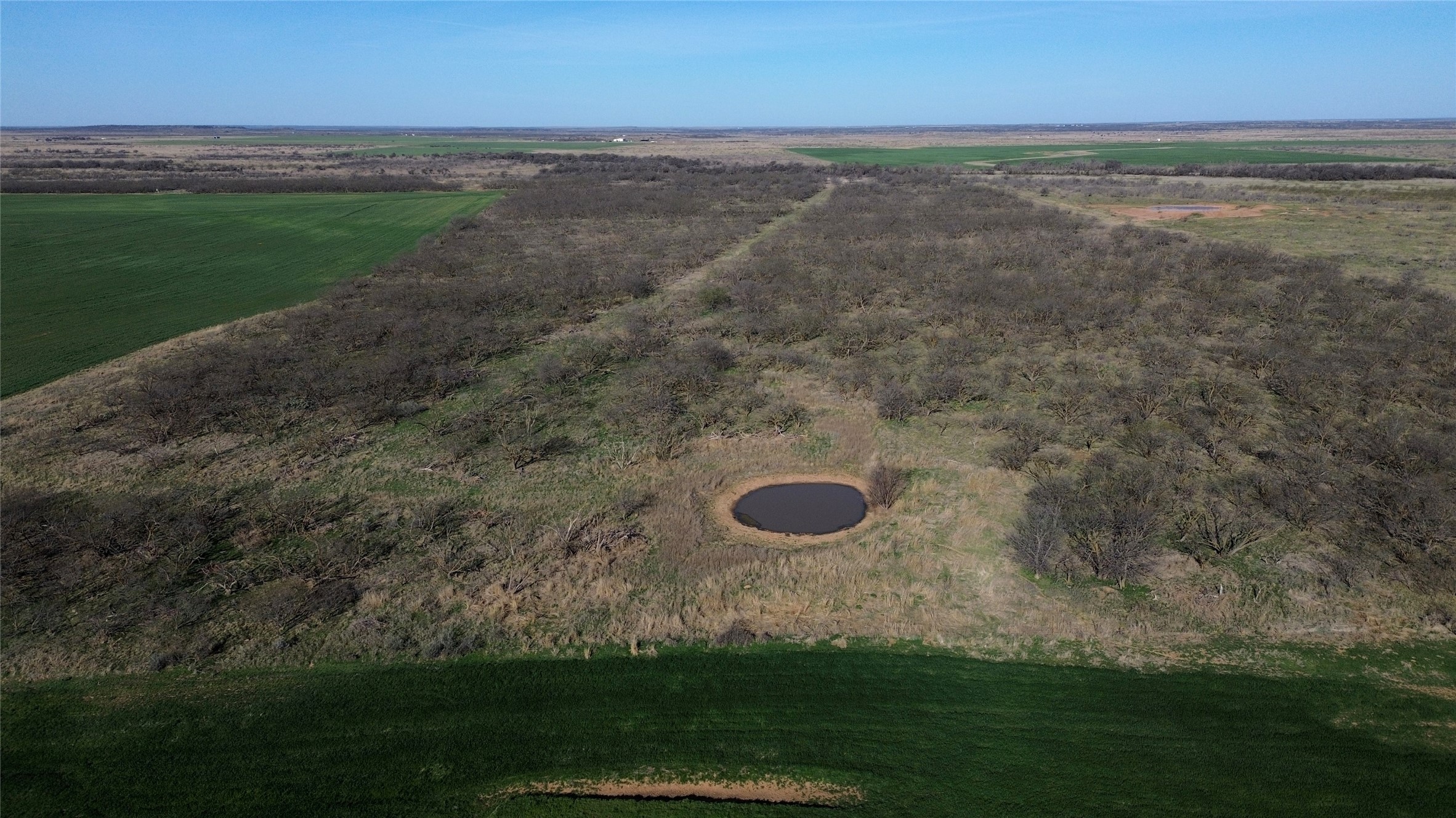 0 Knox County Road Archer City TX 76351