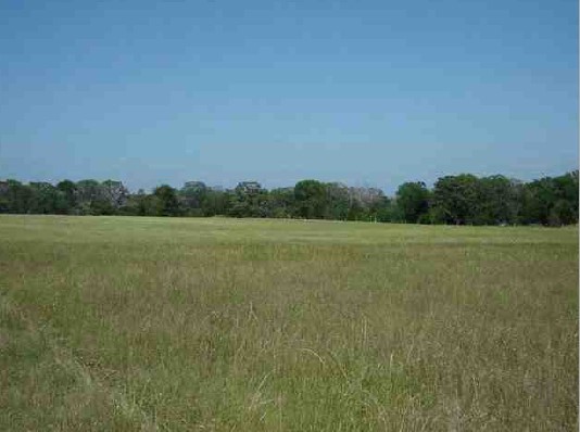 18155 County Road 442 Lindale TX 75771
