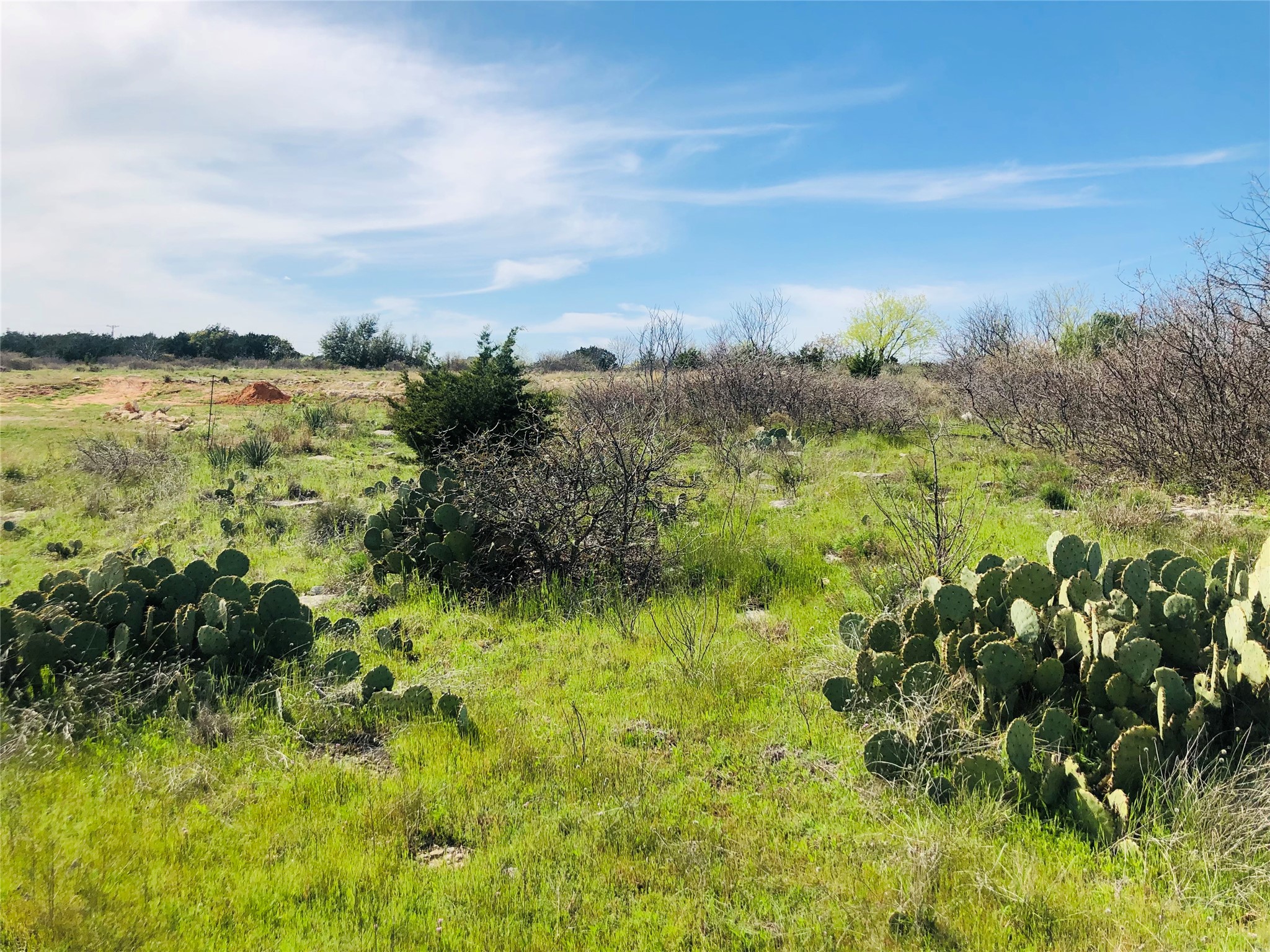Lot 220 Oak Tree Drive Possum Kingdom Lake TX 76449