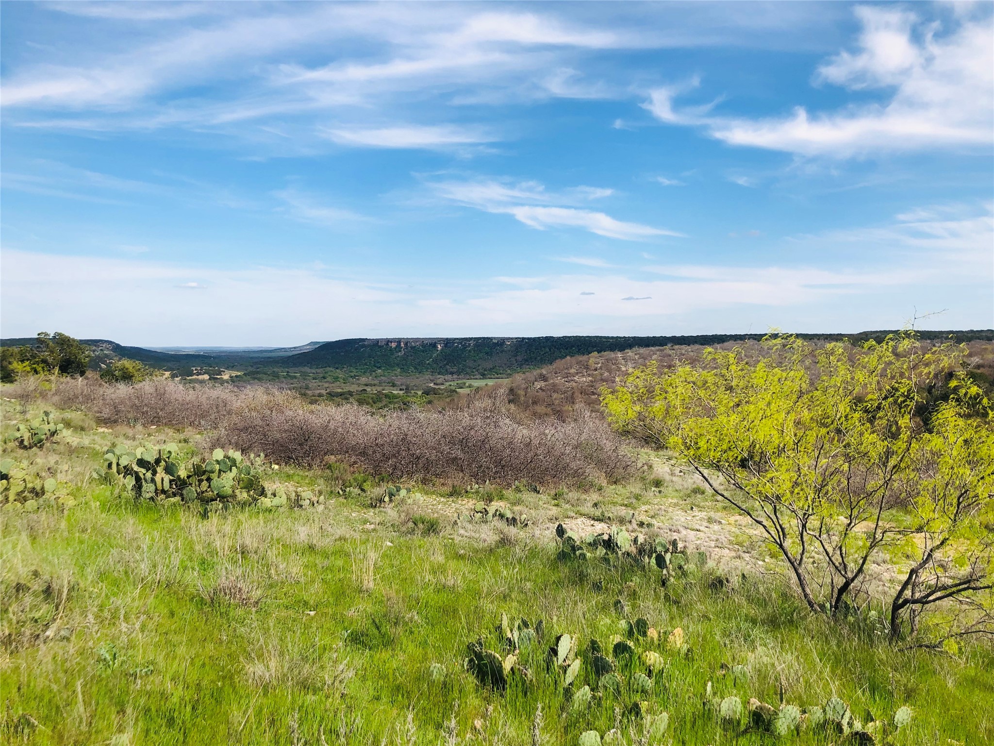 Lot 220 Oak Tree Drive Possum Kingdom Lake TX 76449