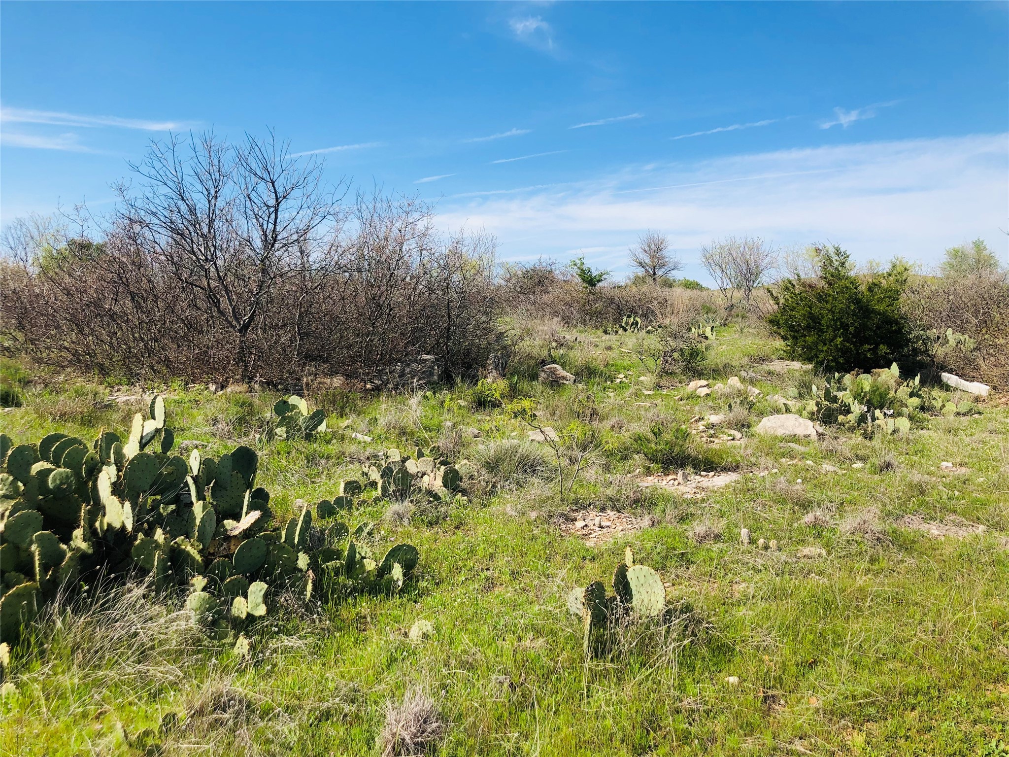 Lot 220 Oak Tree Drive Possum Kingdom Lake TX 76449