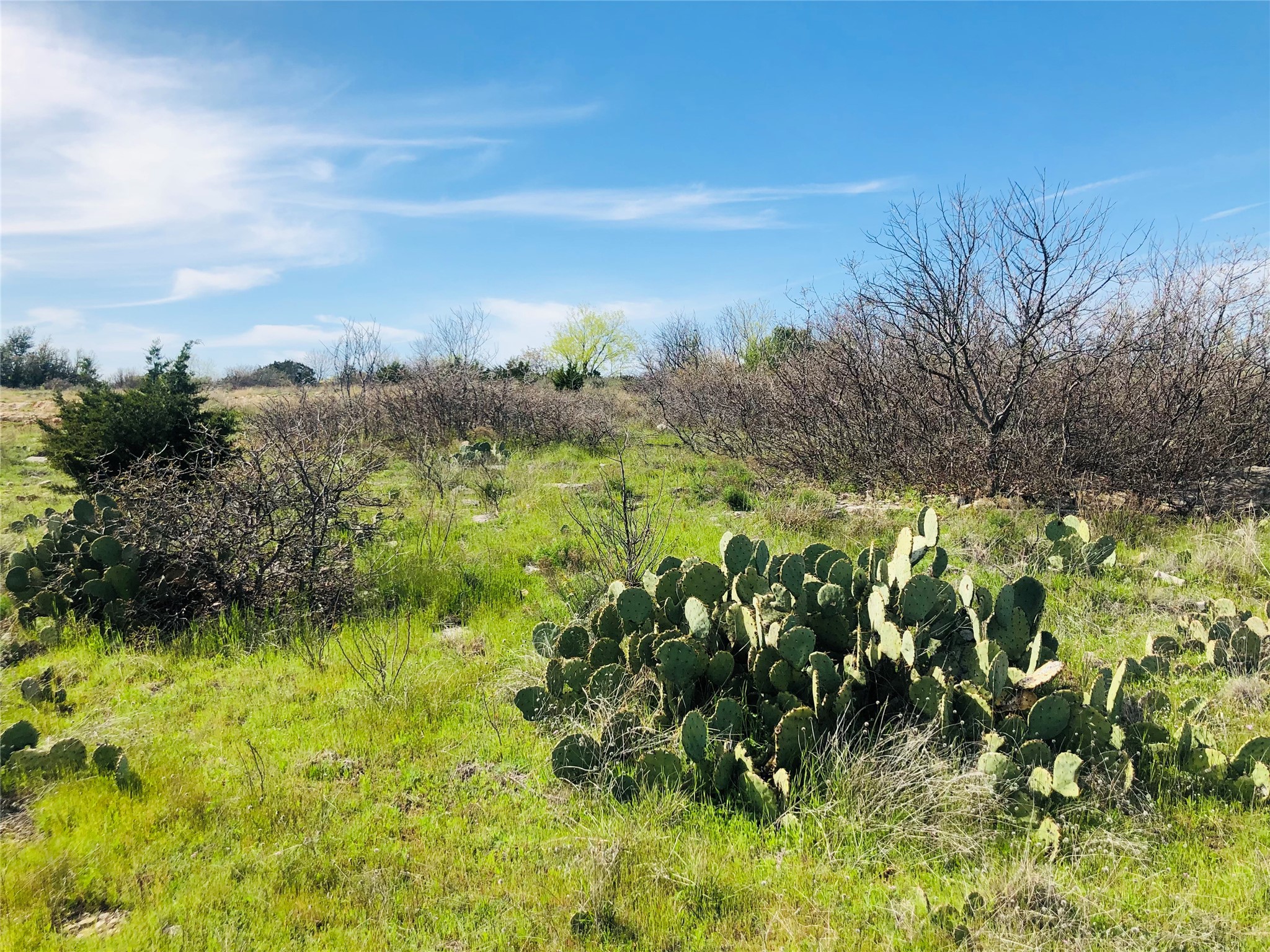 Lot 220 Oak Tree Drive Possum Kingdom Lake TX 76449