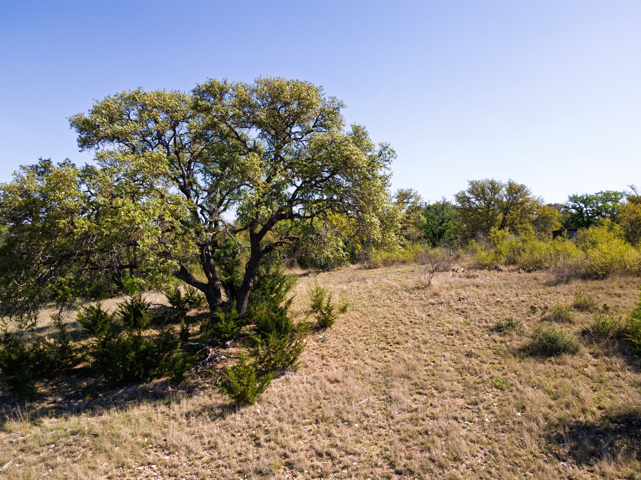 Tbd County Road 402 Goldthwaite TX 76844