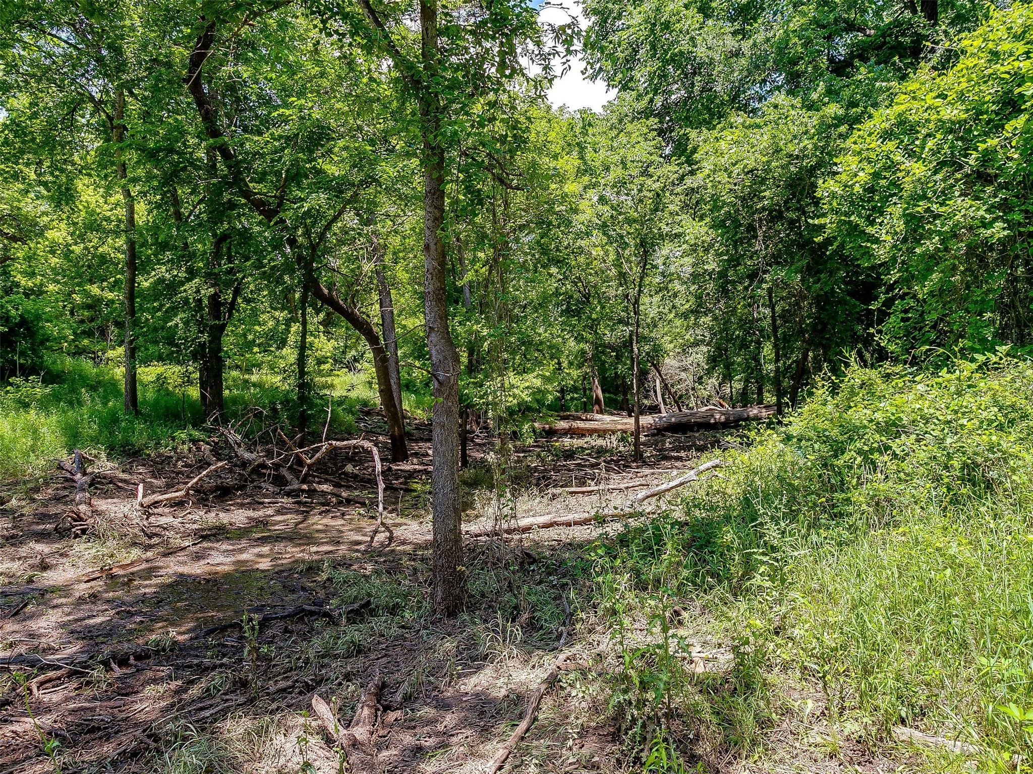 10849 County Road 1117 Cleburne TX 76033