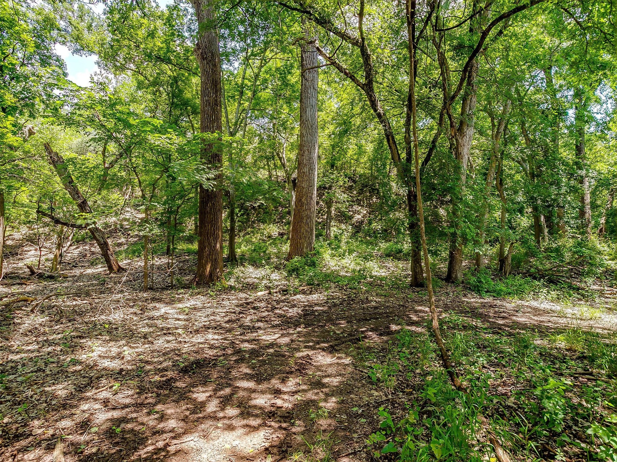 10849 County Road 1117 Cleburne TX 76033