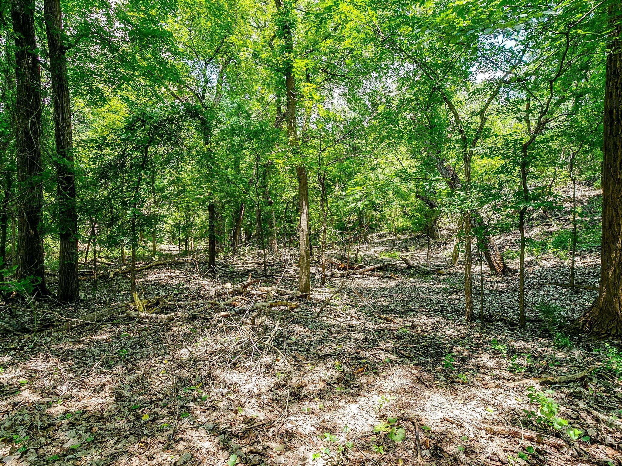 10849 County Road 1117 Cleburne TX 76033