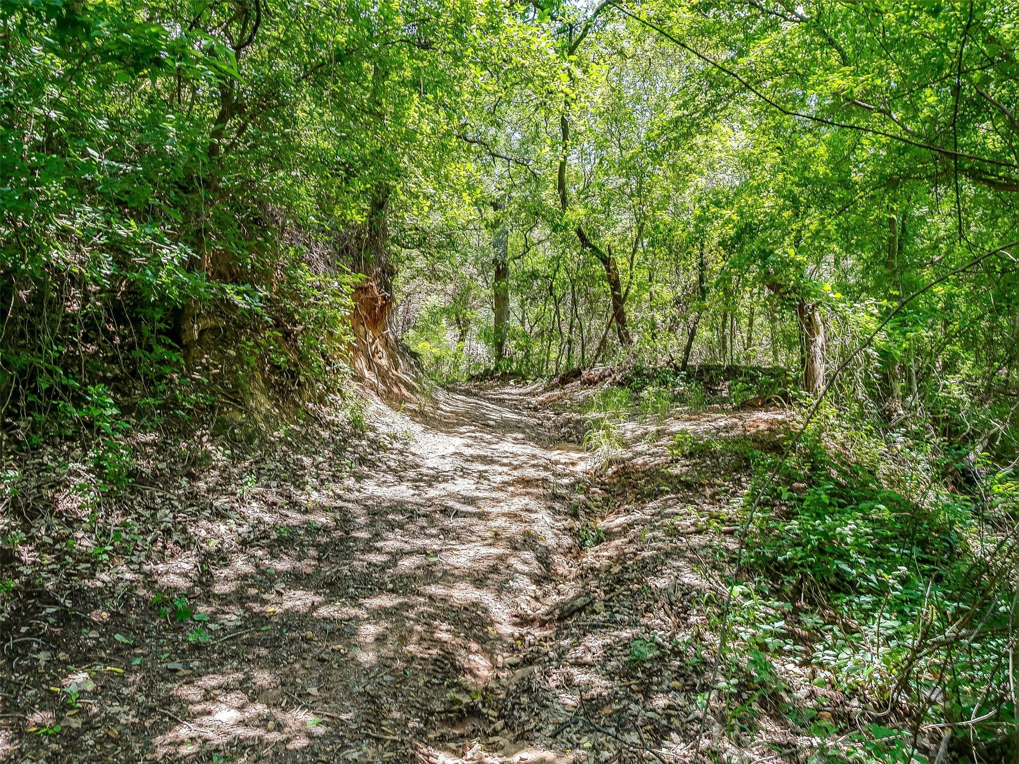 10849 County Road 1117 Cleburne TX 76033