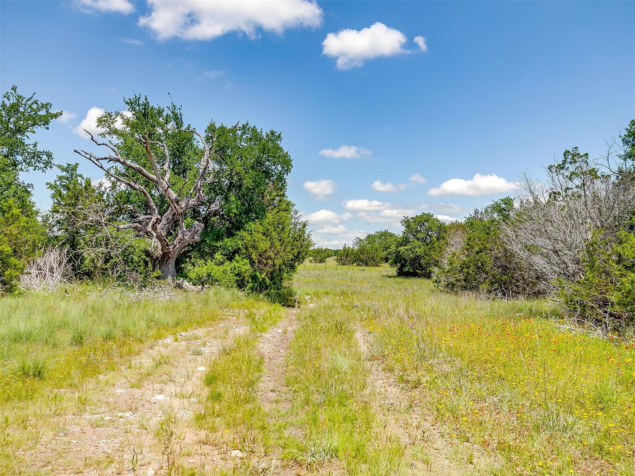 10849 County Road 1117 Cleburne TX 76033