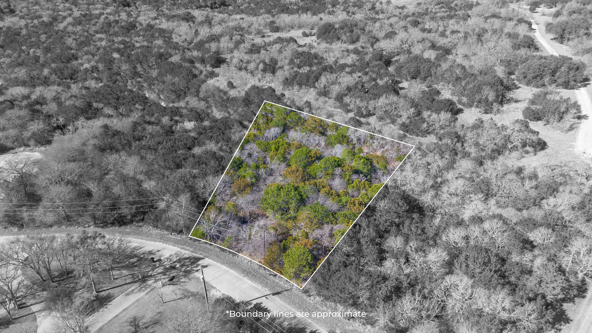 1324 Cobblestone Trail Whitney TX 76692