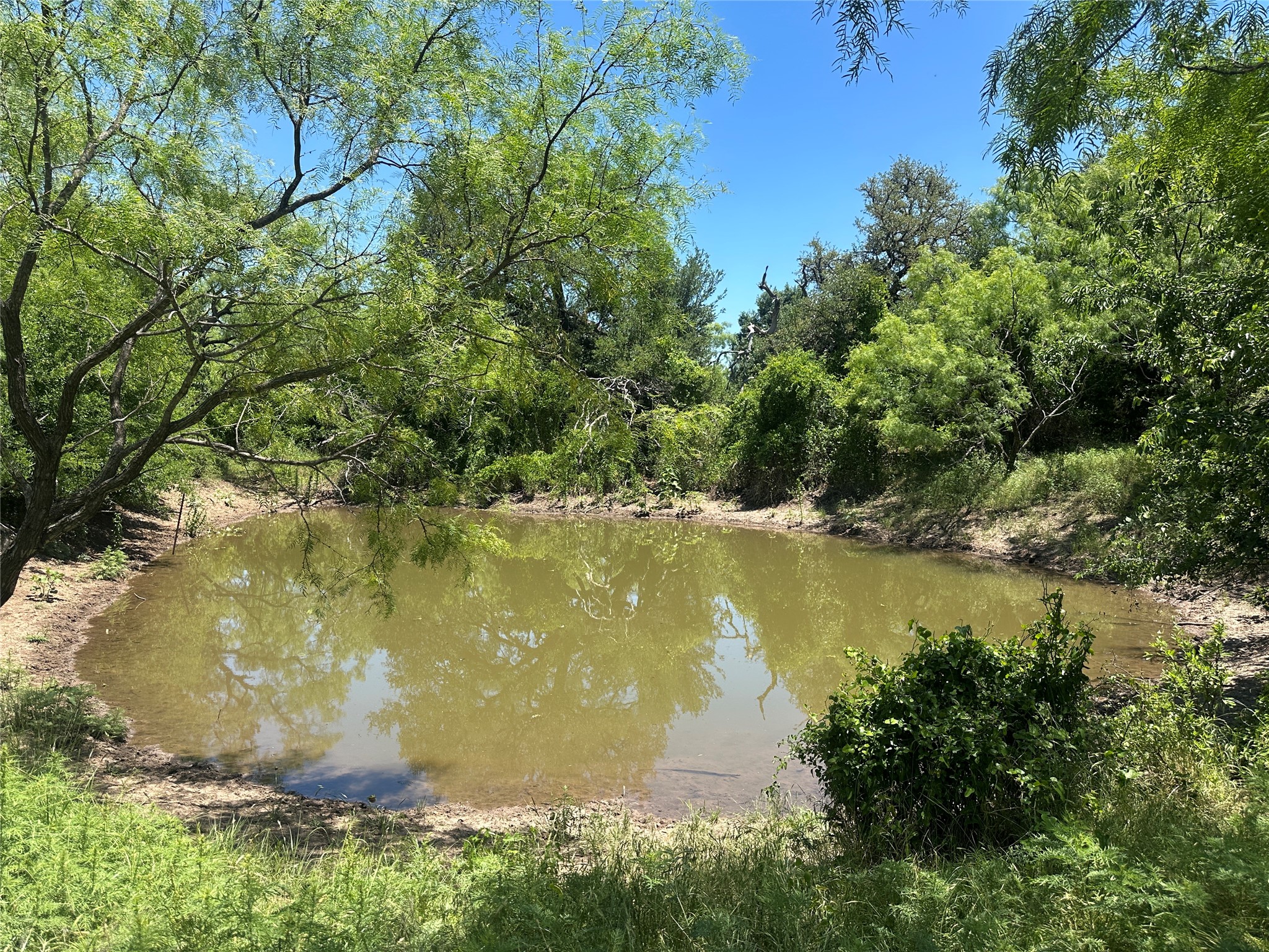 824 County Road 409 Talpa TX 76882