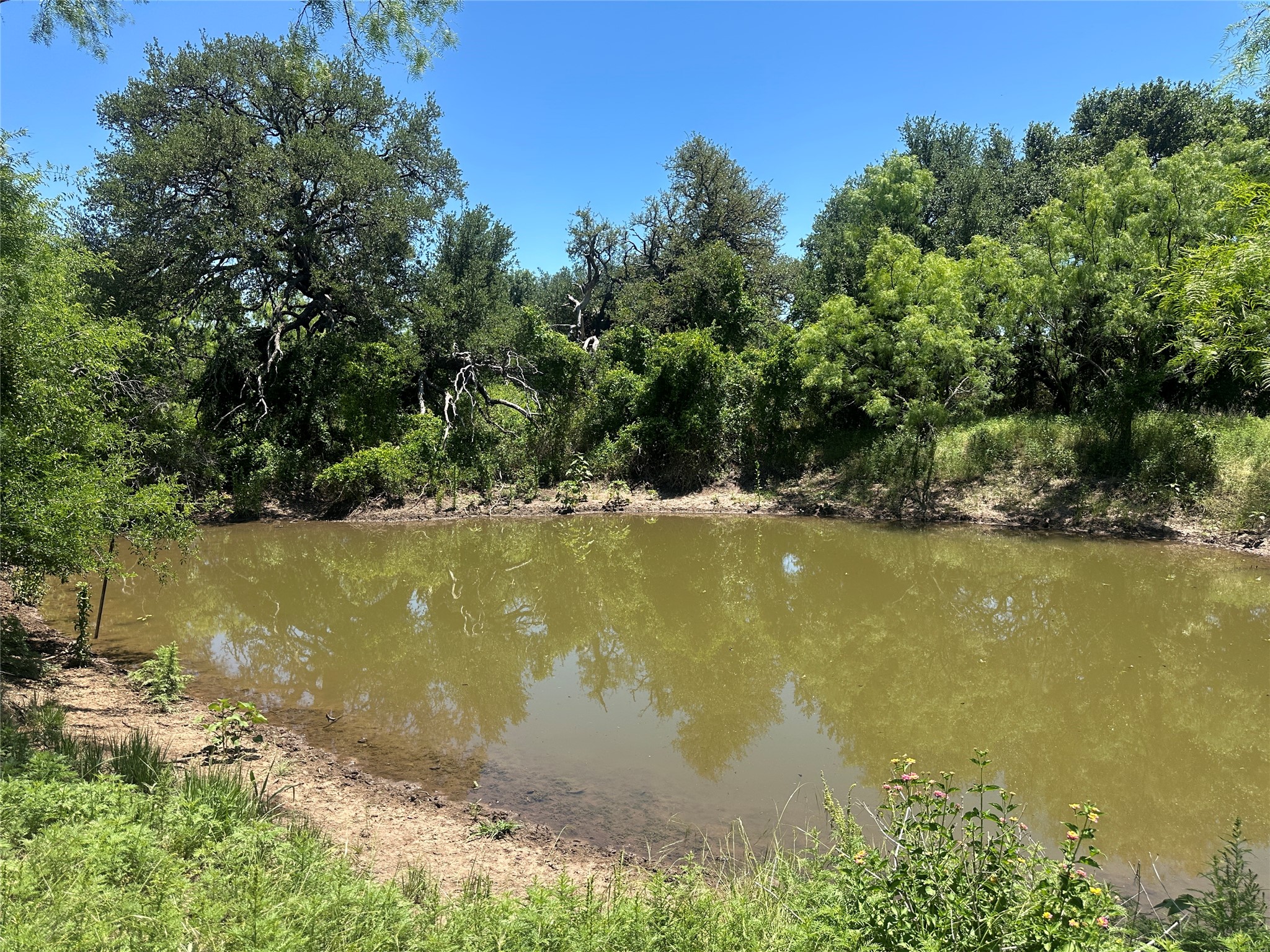 824 County Road 409 Talpa TX 76882