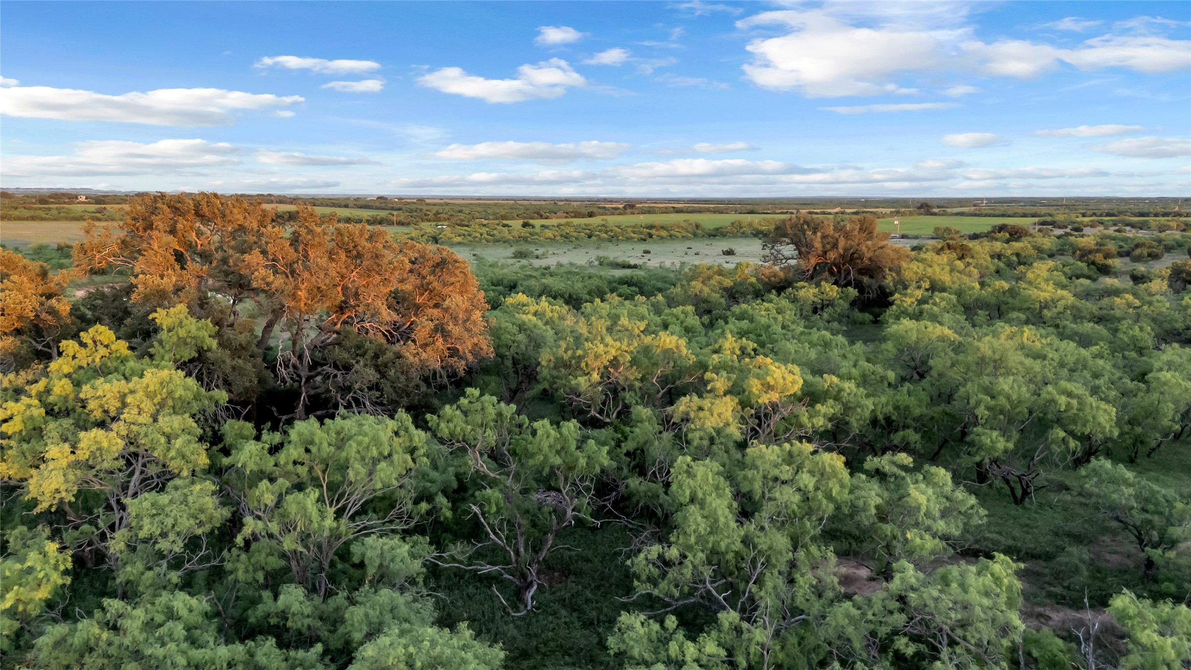 824 County Road 409 Talpa TX 76882