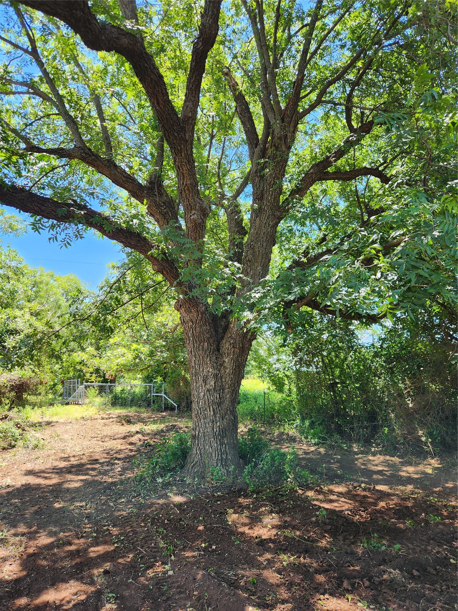 824 County Road 409 Talpa TX 76882