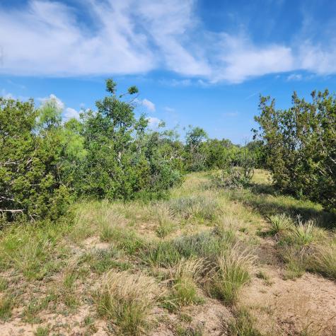 824 County Road 409 Talpa TX 76882